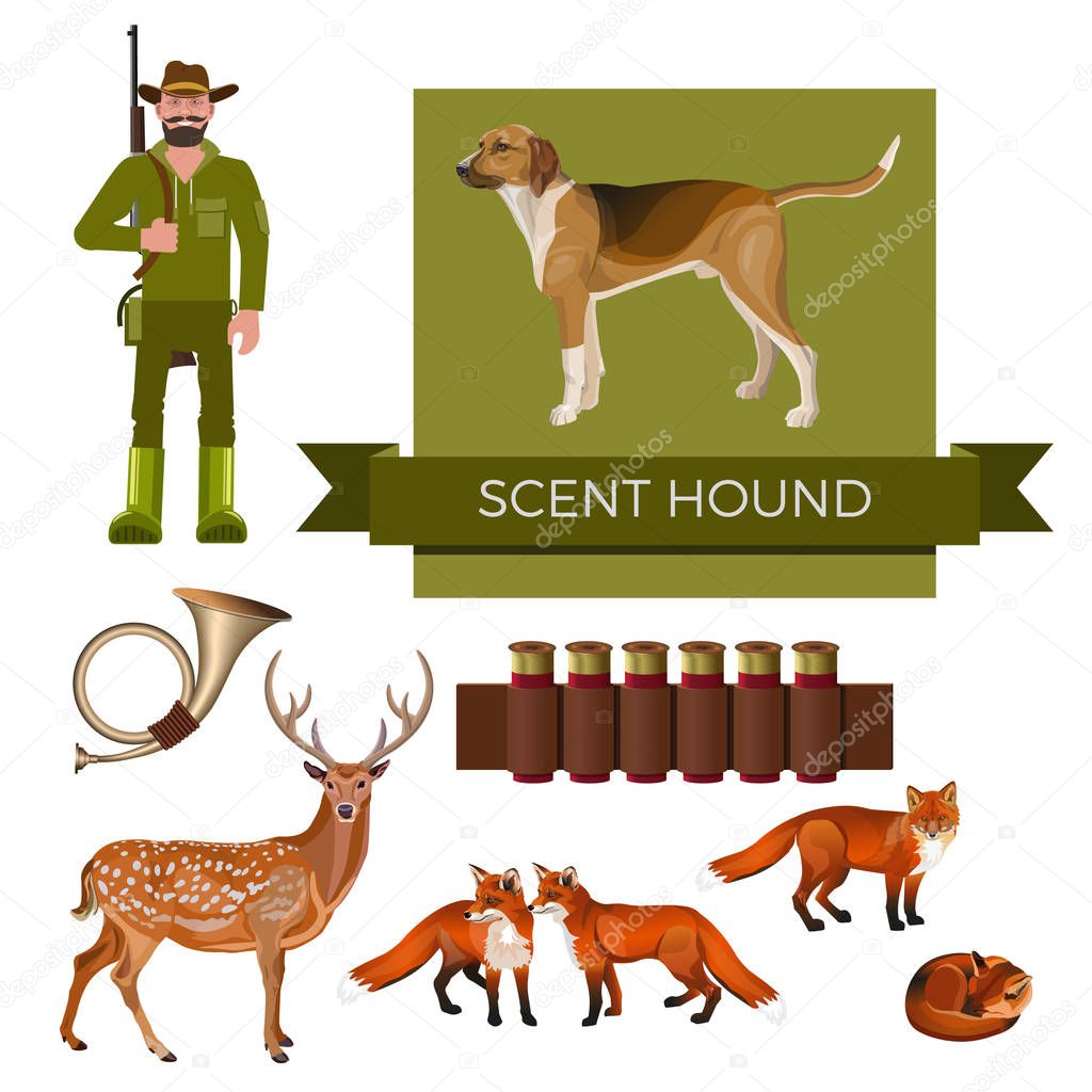 Hunting dog vector