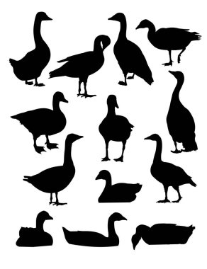 Vektör kazlar kümesi