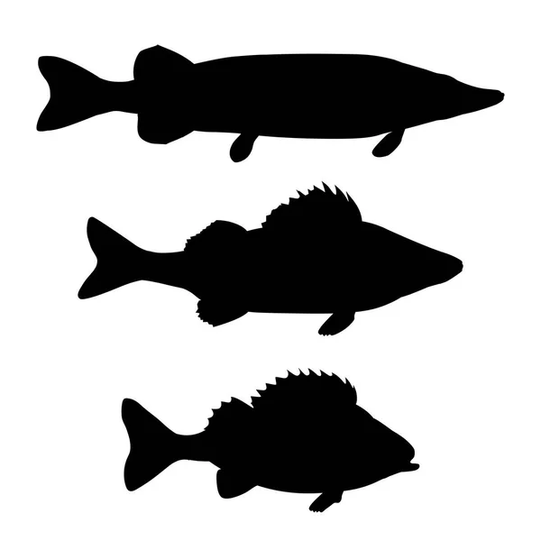 Peces depredadores de agua dulce — Vector de stock