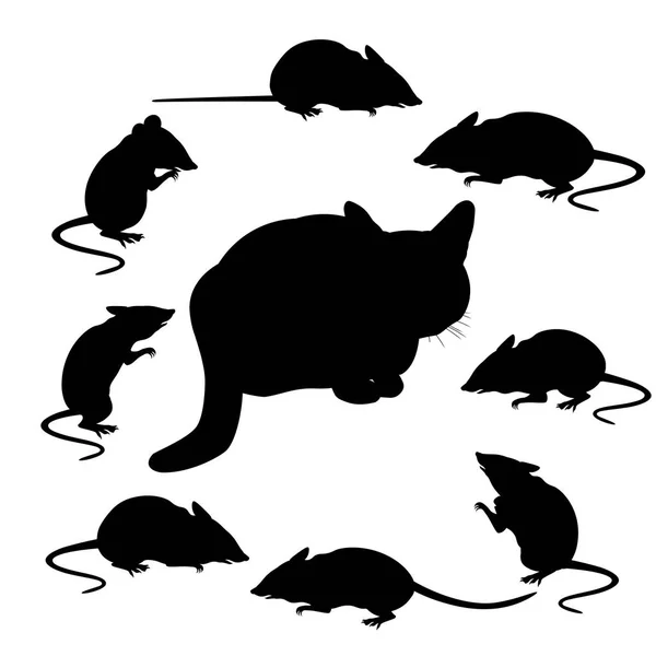 Pisică și mouse — Vector de stoc
