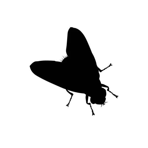 Silhouette d'une mouche — Image vectorielle