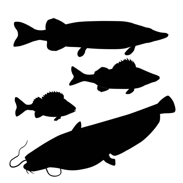 Peces depredadores de agua dulce — Vector de stock