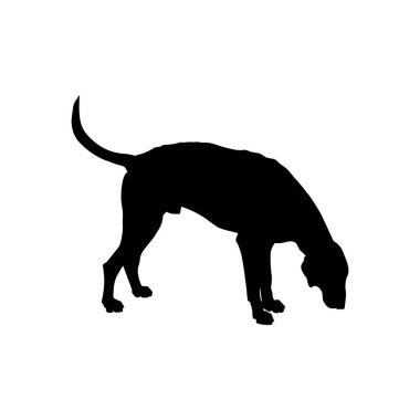 Avcılık köpek vektör