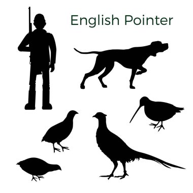 Feathered game hunting set clipart