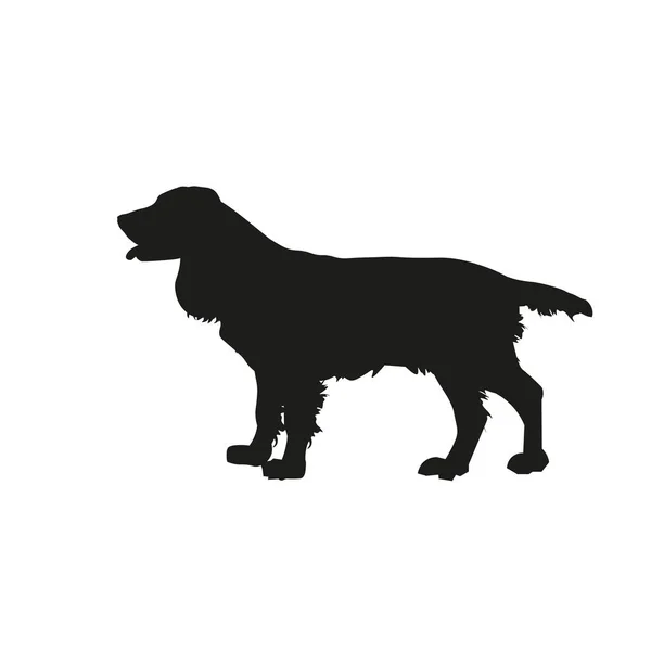 英国史宾格犬 — 图库矢量图片