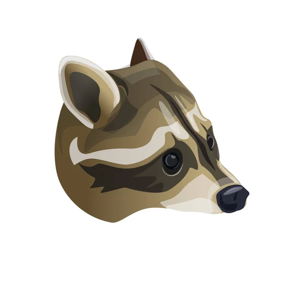 Retrato de cabeza de mapache — Vector de stock