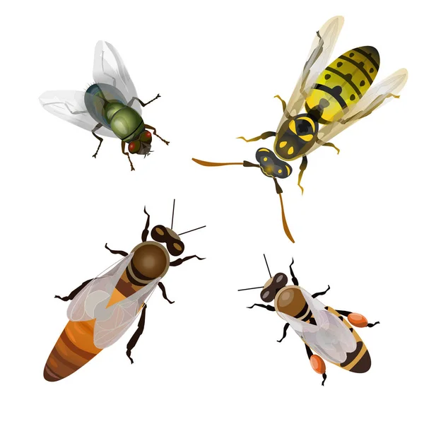 Conjunto de insectos voladores — Vector de stock