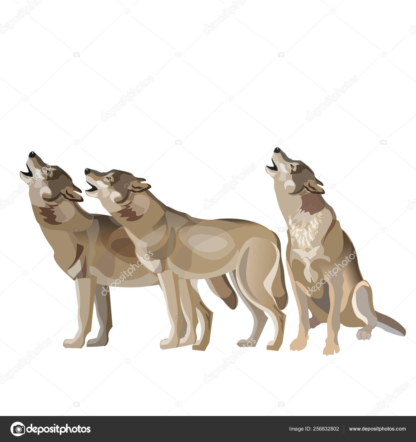 Lobo manada aullando Vector de stock #256832802 de ©newgena, image size:1600x1700