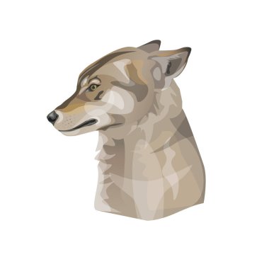 Korkmuş kurt Başkanı