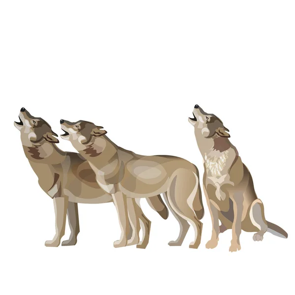 Wolf Pack huilen — Stockvector