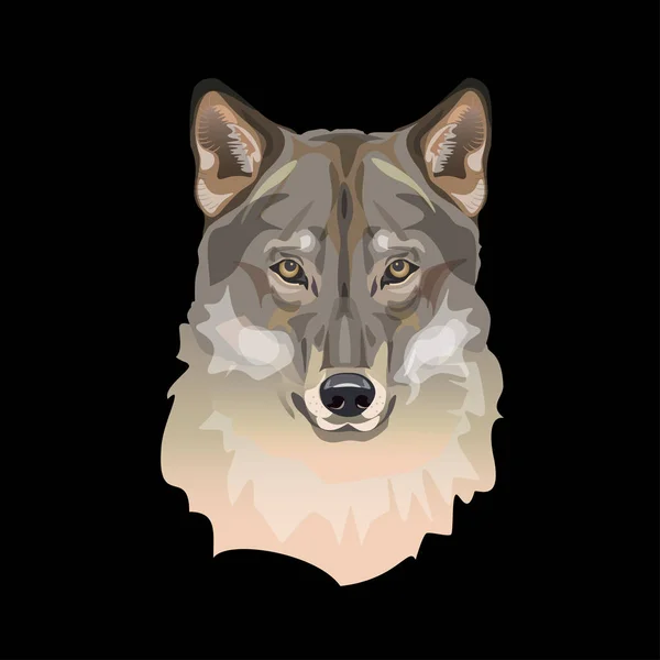 Portrait de tête de loup — Image vectorielle