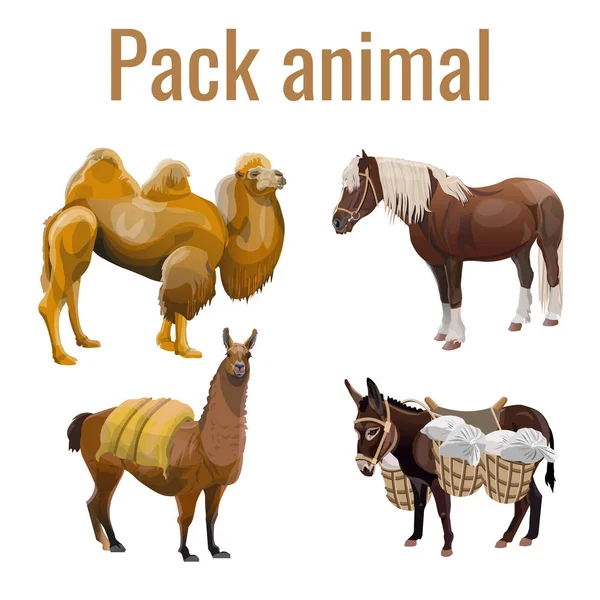Conjunto de animais de embalagem —  Vetores de Stock