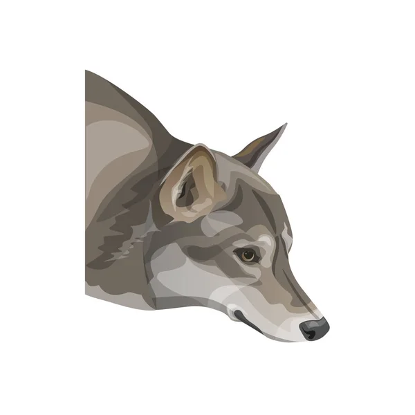 La cabeza de lobo gris — Vector de stock