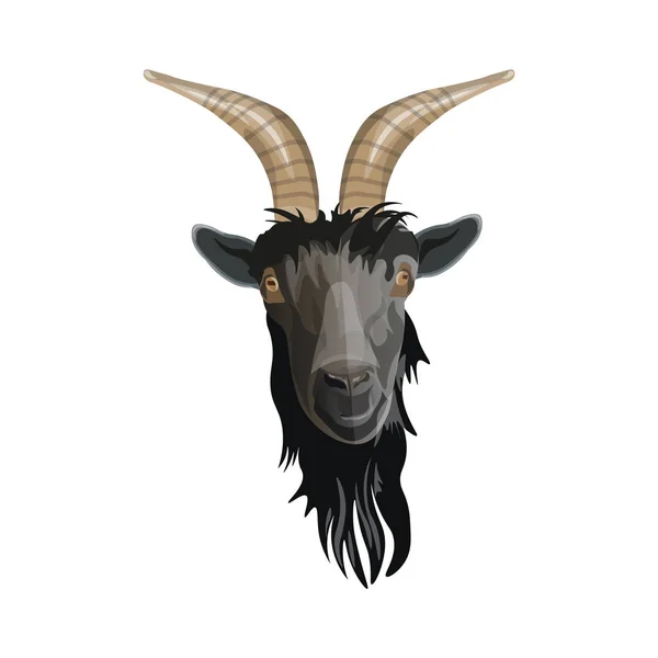 Retrato de cabeza de cabra . — Vector de stock