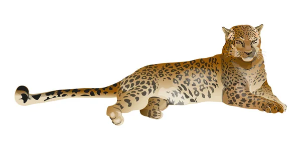 Leopardo mentiroso vector — Archivo Imágenes Vectoriales