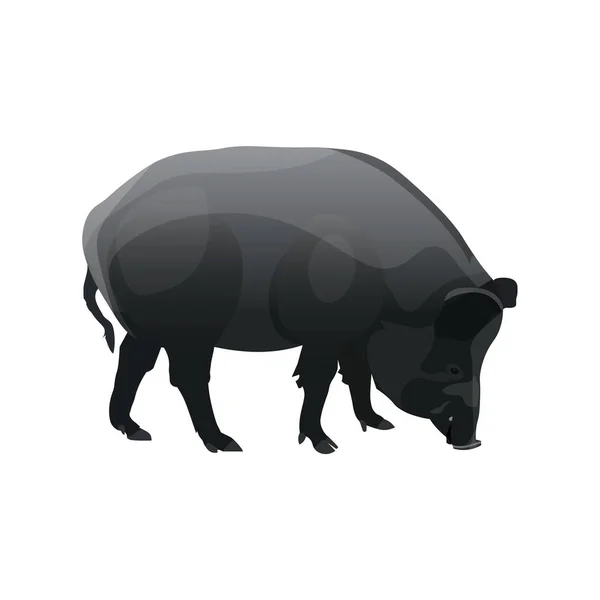 Single wild pig — Stock Vector