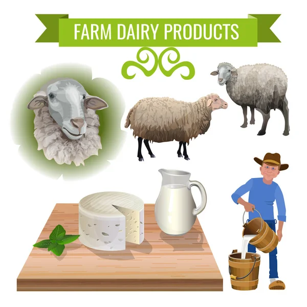 Γαλακτοκομικά προϊόντα από πρόβατα — Διανυσματικό Αρχείο