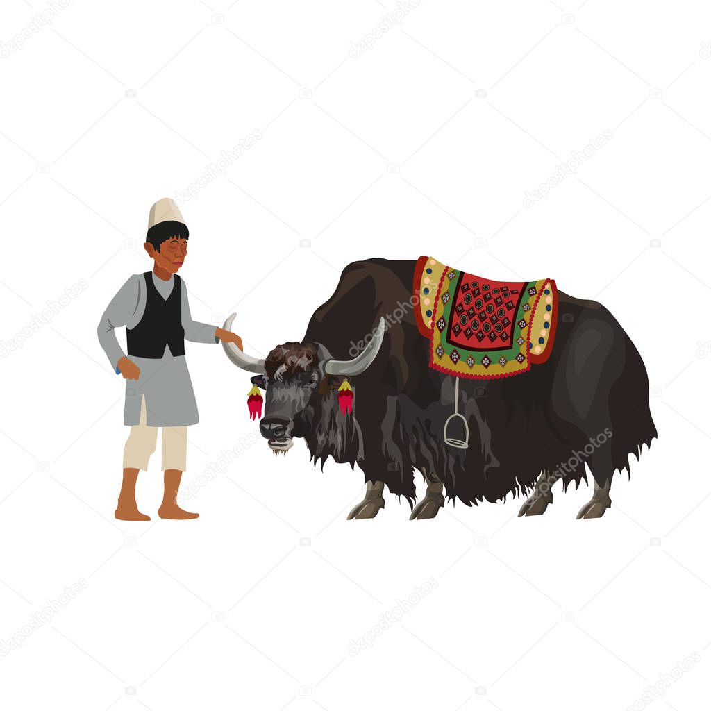 Man with domestic yak