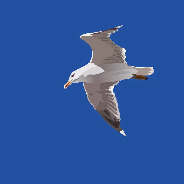 Seagull vliegende vector — Stockvector