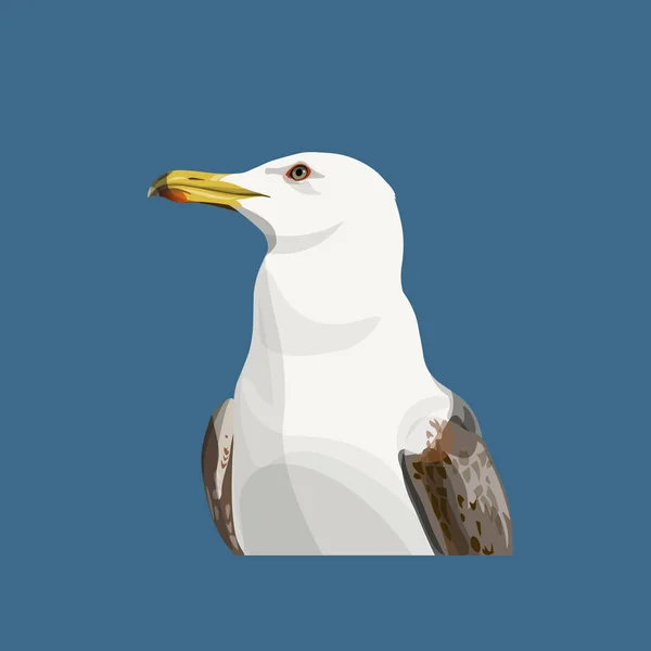 Retrato de uma gaivota — Vetor de Stock