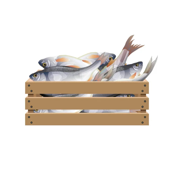 Fish in wooden crate — Stock Vector