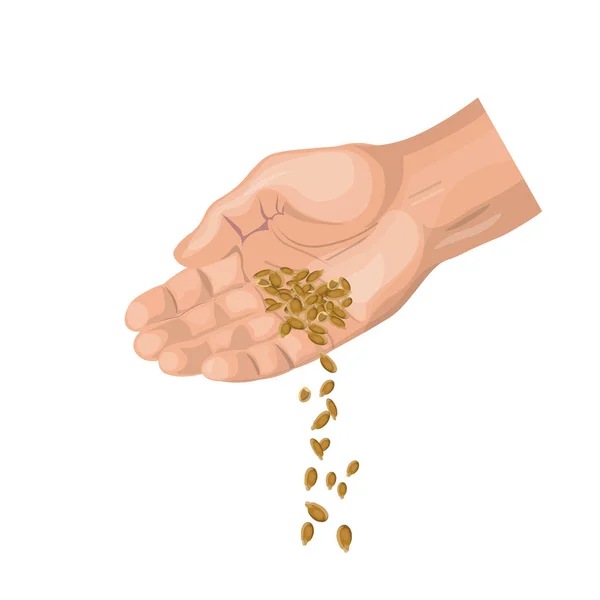 Getreide von Hand aussäen — Stockvektor