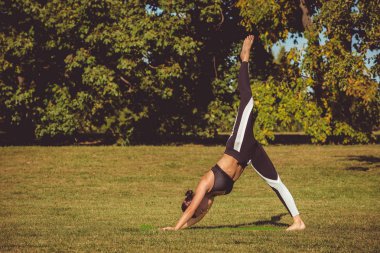 pratik yoga Park, kadın köpek poz, kalça açacağı egged