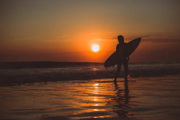 deniz suyundaki surfboard ile yürüyüş ve gökyüzü günbatımı, turuncu güneşte zevk sörfçü kadın 
