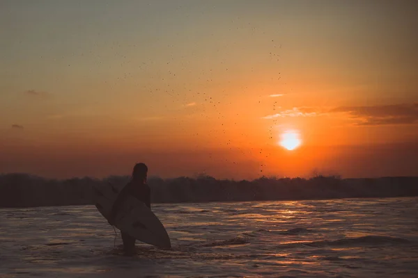Surfista Mujer Caminando Con Tabla Surf Agua Mar Disfrutando Puesta — Foto de Stock