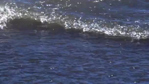 Прекрасні Морські Хвилі Сонячний День Балі Індонезія — стокове відео