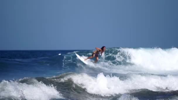 Bali Indonezja Maja 2019 Etap Mistrzostw Świata Surfingu 2019 Bali — Wideo stockowe