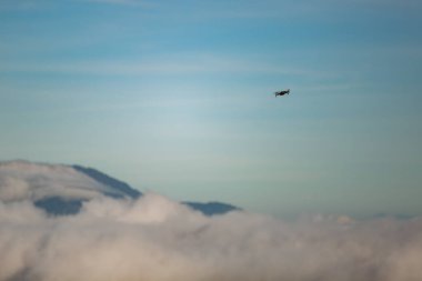 Gökyüzünde uçan İHA 'nın düşük açılı görüntüsü
