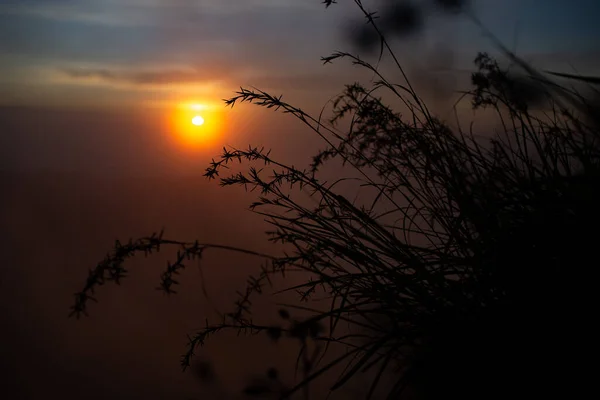 Hermoso Paisaje Con Hierba Alta Luz Del Sol Volcán Batur — Foto de Stock