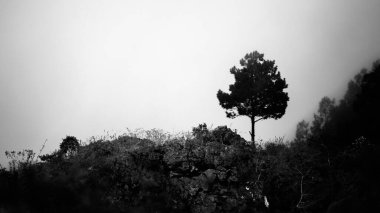 Güzel dağ manzarası. siyah ve beyaz görüntü. Volkan Batur, Endonezya