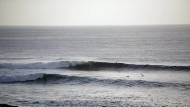Siluetas Personas Surfeando Olas Marinas Atardecer — Vídeos de Stock