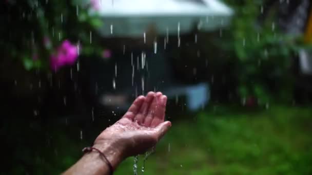 Przycięte Ujęcie Osoby Sięgającej Dłoni Cieszącej Się Ciepłym Letnim Deszczem — Wideo stockowe