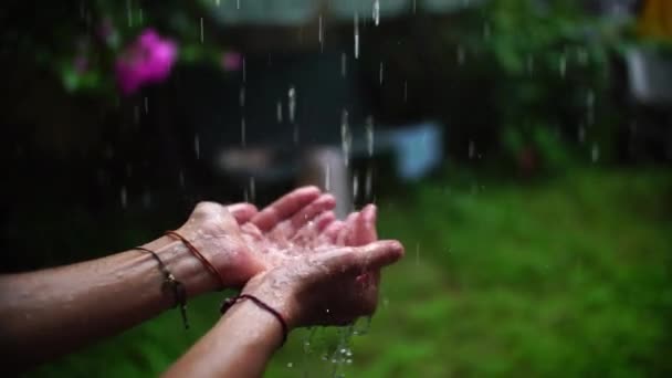 Schnappschuss Von Person Die Hände Greift Und Warmen Sommerregen Genießt — Stockvideo