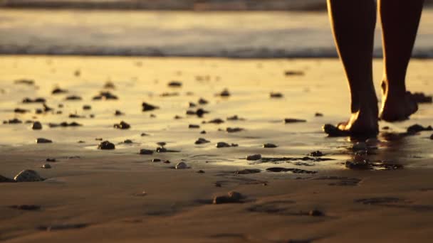 Oříznutý Záběr Osoby Kráčející Písčité Pláži Při Západu Slunce Bali — Stock video