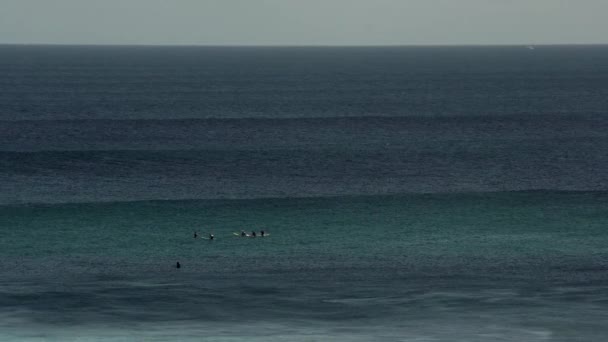 Vista Ángulo Alto Los Surfistas Tablas Montar Las Olas Océano — Vídeos de Stock