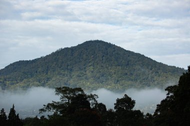Endonezya, Bali ve Endonezya 'da yemyeşil bitki örtüsüyle kaplı dağlarla muhteşem bir manzara..