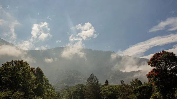 Increíble Paisaje Con Montañas Cubiertas Exuberante Vegetación Verde Bali Indonesia —  Fotos de Stock