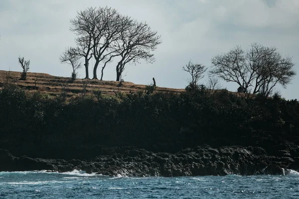 Ondas Oceânicas Salpicando Costa Coberta Com Vegetação Verde — Fotografia de Stock