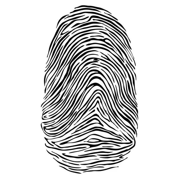 Vector Illustration Fingerprint — Stock Vector