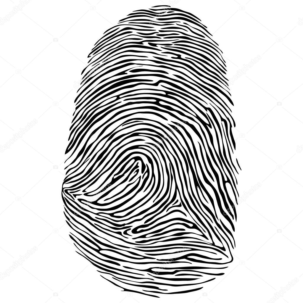 Vector illustration of fingerprint.