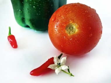 Beyaz arka planda taze organik domates ve biber.