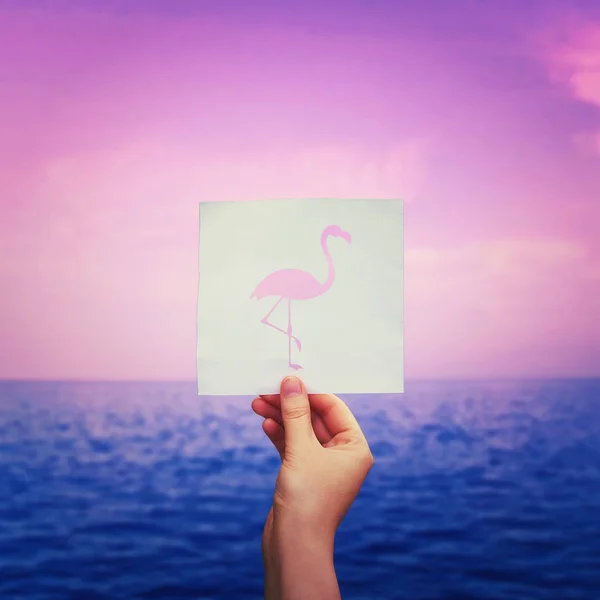 Kezében Egy Papírlap Flamingó Silhouette Szimbólum Kék Óceán Rózsaszín Naplemente — Stock Fotó