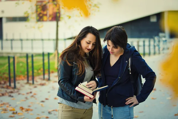 屋外を読んで つの若い女子学生のライフ スタイル肖像画本の質問に対する答えを検索を 友人共有知識 チームワークのシンボルとしての教育概念 — ストック写真