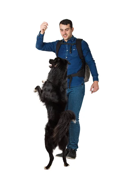 Junger Mann Gibt Seinem Border Collie Hund Befehl Auf Zwei — Stockfoto