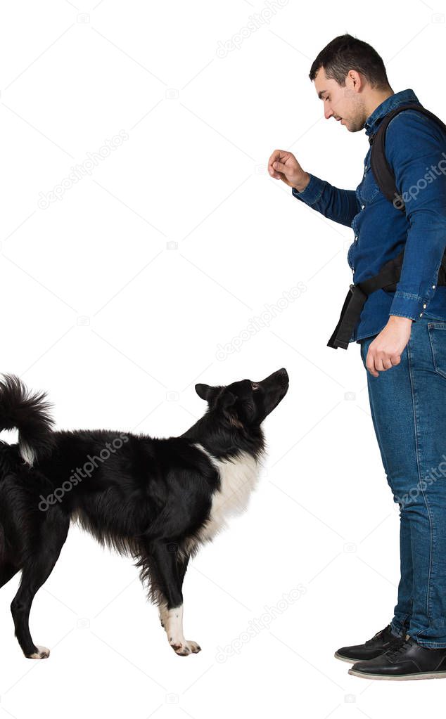 Young man give command to his border collie dog pet showing with hand to pay attention isolated over white background. Side view owner train his puppy, friendship concept.