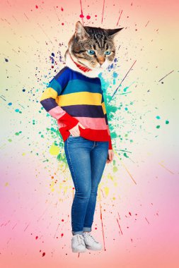 Çağdaş sanat kolaj tam vücut portre rahat yavru kedi kadın giyim jeans ve cebinde el ile poz gökkuşağı kazak yöneldi. Modern tarz pop sanat zine kültür kavramı. Komik kedi dönüştürme.
